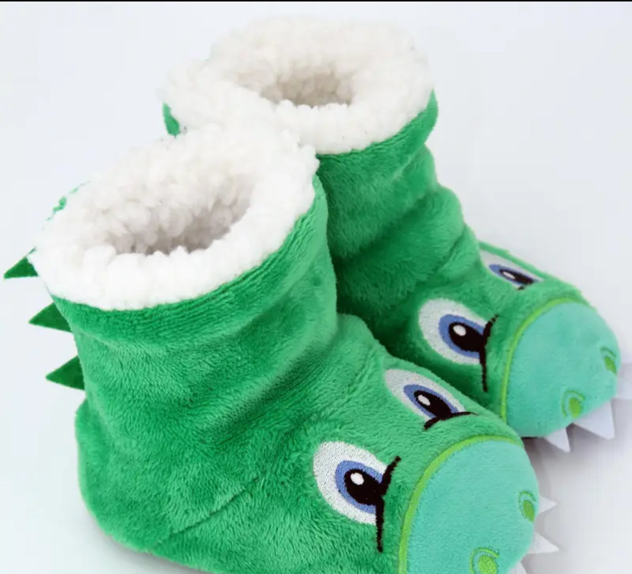 Dinosaur Slippers