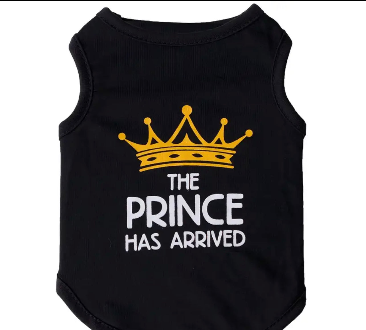 FurBaby The Prince Has Arrived