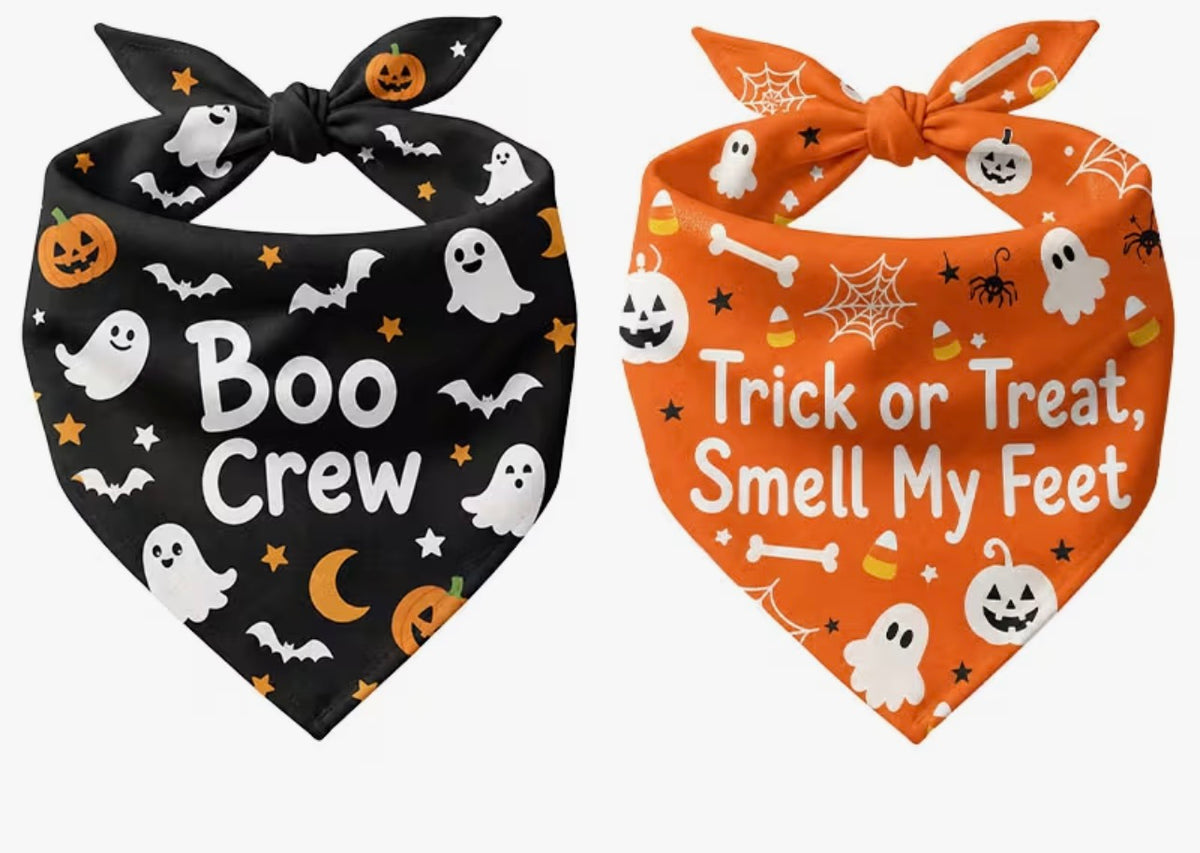 Fur Baby Halloween Bandanna