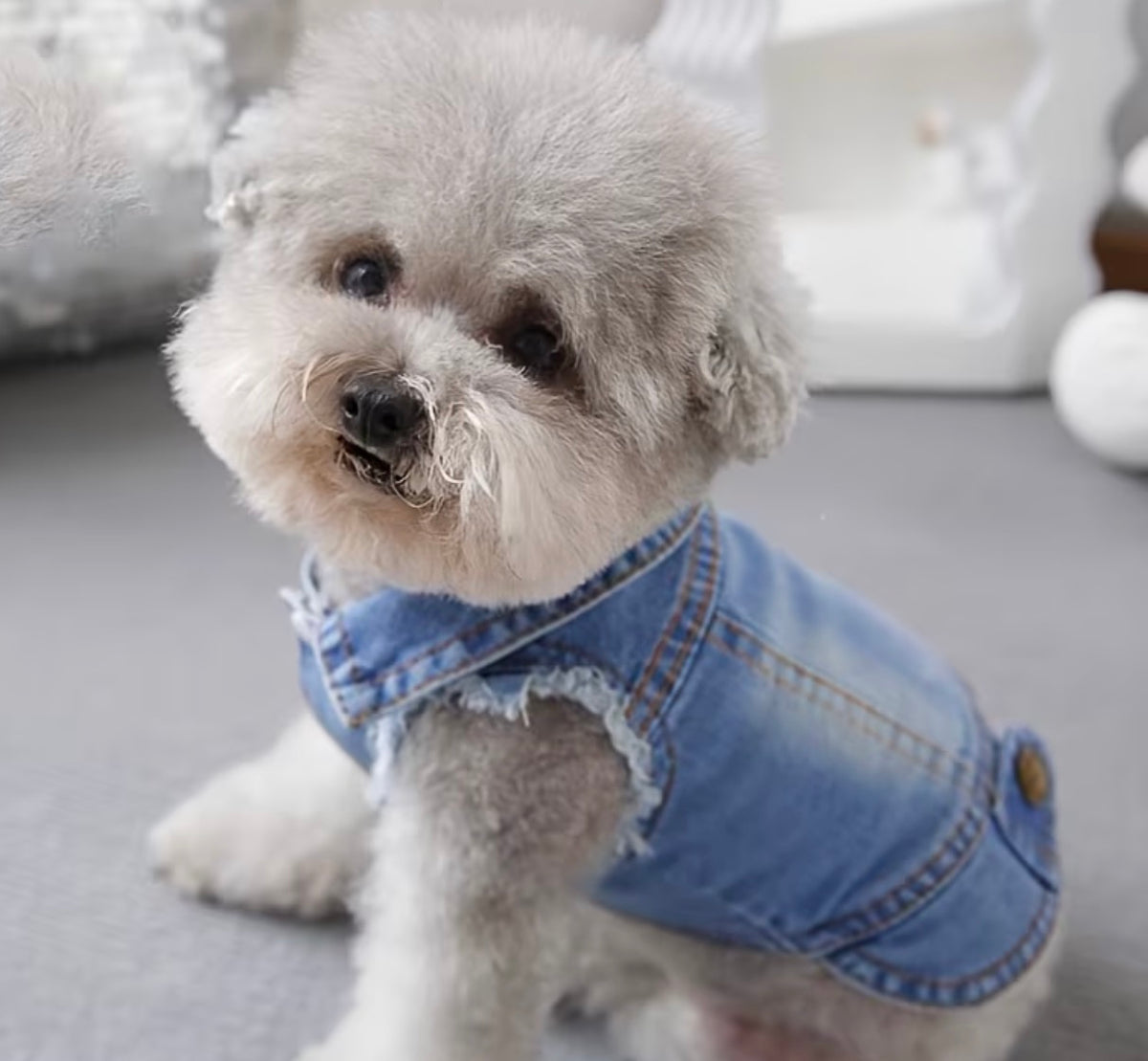 Fur Baby Denim Jacket