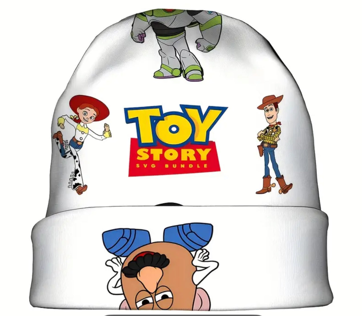 Toy Story Toboggan