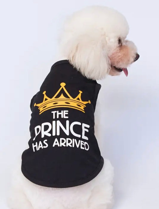 FurBaby The Prince Has Arrived