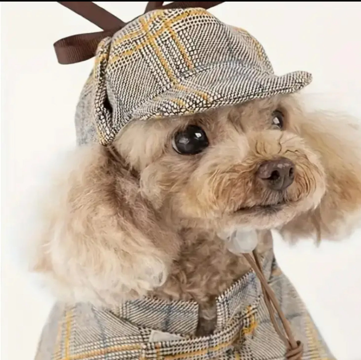 Fur Baby Sherlock Coat/Hat