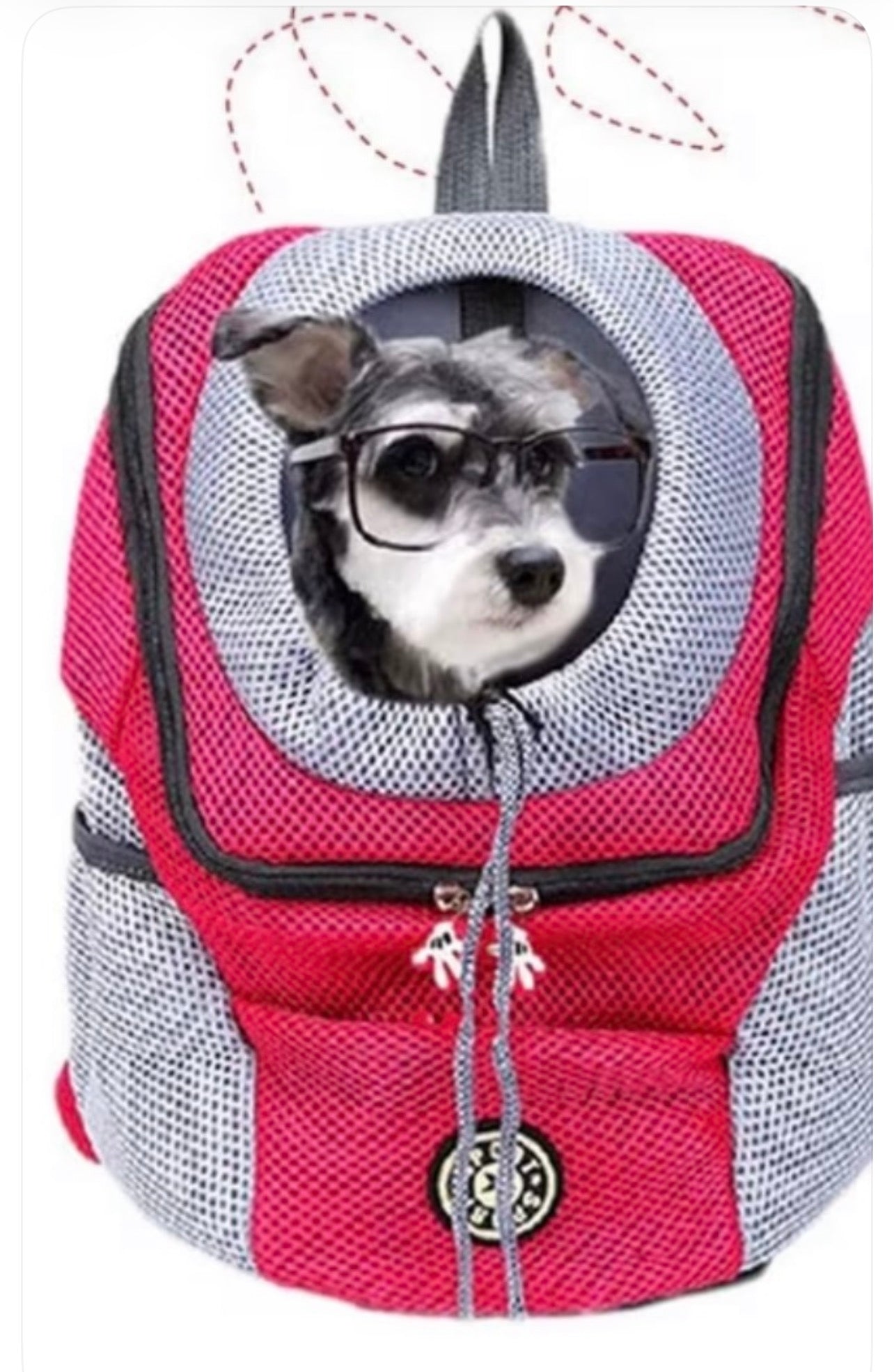 Backpack Pet Carrier
