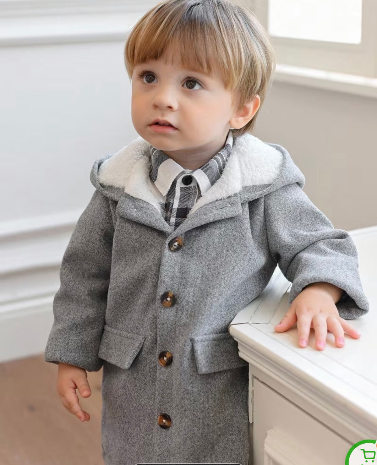 Wool Coat with Hood