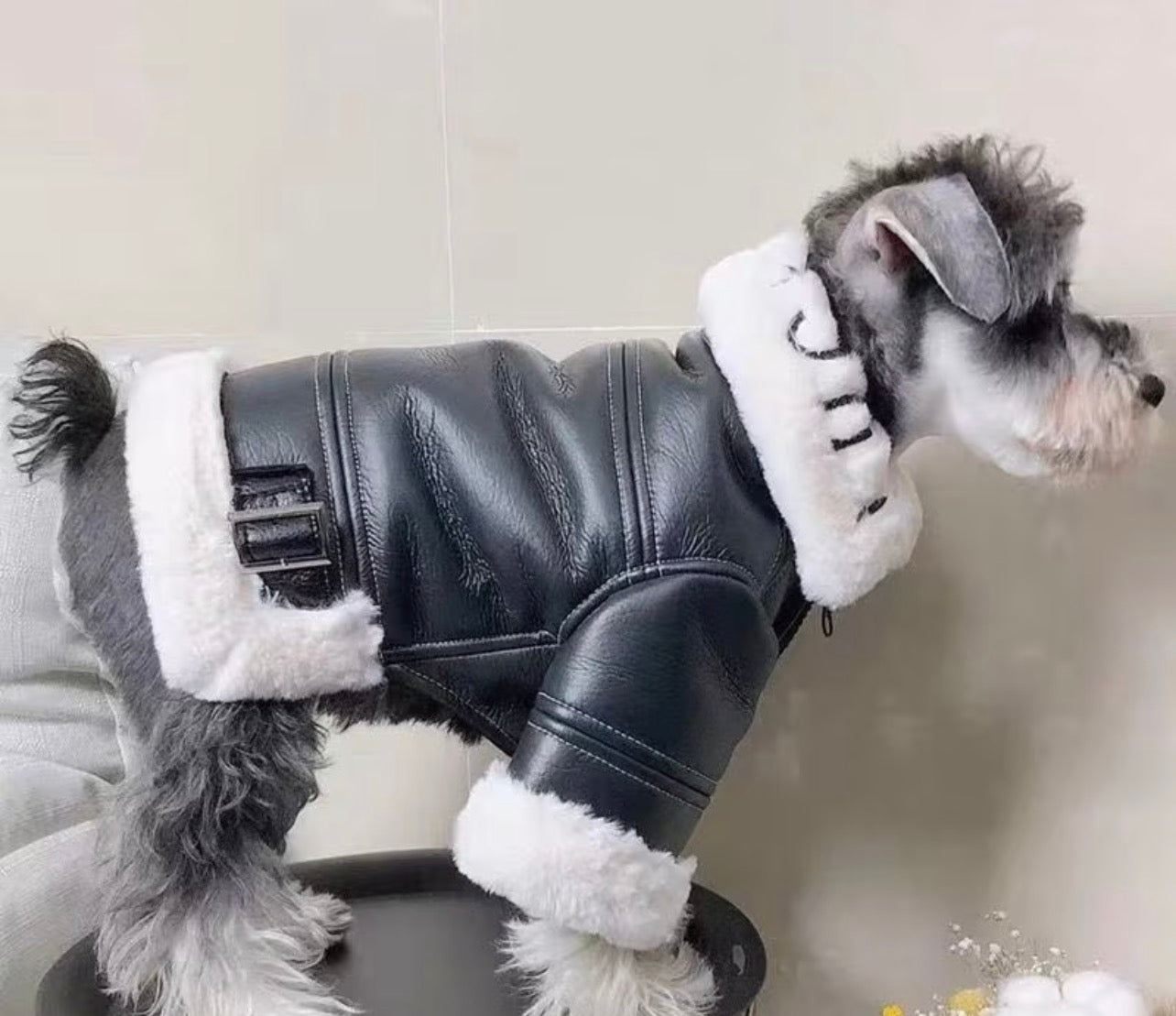 Fur Baby Fleece Coat